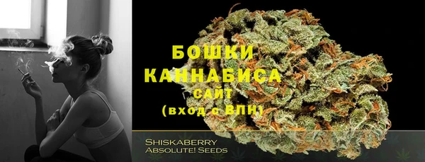 гидра Усинск