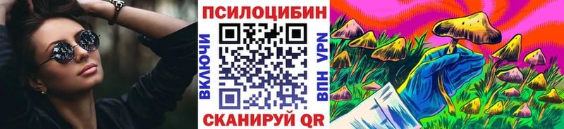 Купить закладки  Подпорожье  Псилоцибиновые грибы ЛСД 